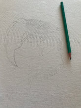 Carregar imagem no visualizador da galeria, Quadro de Araras, pintura acrilica, tela emoldurada