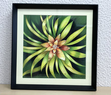 Carregar imagem no visualizador da galeria, Ilustração Bromélia, Planta Tropical, Floresta, Quadro, Decoração, Reprodução Original, Edição Limitada, Número de série, Fineart, Giclée