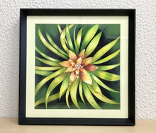 Carregar imagem no visualizador da galeria, Ilustração Bromélia, Planta Tropical, Floresta, Quadro, Decoração, Reprodução Original, Edição Limitada, Número de série, Fineart, Giclée