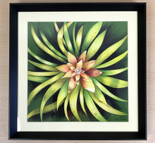 Carregar imagem no visualizador da galeria, Ilustração Bromélia, Planta Tropical, Floresta, Quadro, Decoração, Reprodução Original, Edição Limitada, Número de série, Fineart, Giclée