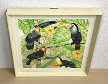 Carregar imagem no visualizador da galeria, Ilustração Pássaros Tropical, Tucanos, floresta, Quadro, Decoração, Reprodução do Original, Edição Limitada, Número de série, Médio, Giclée