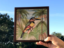 Carregar imagem no visualizador da galeria, Quadro de Azulejo, Pintado à Mão, com modura, Pintura Original, Natureza, Pássaro, Decoração, Arte, Tropical, Floresta, Ave, Araçarí