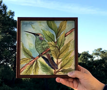 Carregar imagem no visualizador da galeria, Quadro de Azulejo, Pintado à Mão, com modura, Pintura Original, Natureza, Pássaro, Decoração, Arte, Tropical, Floresta, Ave, Beija-Flor