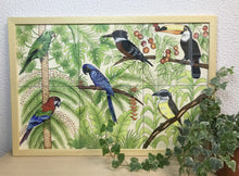 Carregar imagem no visualizador da galeria, Ilustração Pássaros, Quadro, Decoração, Reprodução do Original, Gravura, Giclée, Edição Limitada, Número de série, Painel, Aves, Pintura