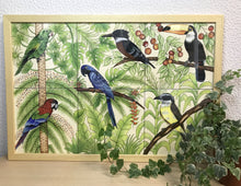 Carregar imagem no visualizador da galeria, Ilustração Pássaros, Quadro, Decoração, Reprodução do Original, Gravura, Giclée, Edição Limitada, Número de série, Painel, Aves, Pintura