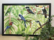 Carregar imagem no visualizador da galeria, Ilustração Pássaros, Quadro, Decoração, Reprodução do Original, Gravura, Giclée, Edição Limitada, Número de série, Fine Art, Aves, Pintura