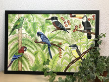 Carregar imagem no visualizador da galeria, Ilustração Pássaros, Quadro, Decoração, Reprodução do Original, Gravura, Giclée, Edição Limitada, Número de série, Fine Art, Aves, Pintura