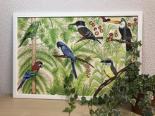 Carregar imagem no visualizador da galeria, Ilustração Pássaros, Quadro, Decoração, Reprodução do Original, Gravura, Giclée, Edição Limitada, Número de série, Fine Art, Aves, Pintura