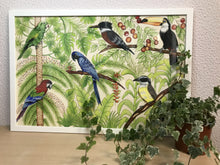 Carregar imagem no visualizador da galeria, Ilustração Pássaros, Quadro, Decoração, Reprodução do Original, Gravura, Giclée, Edição Limitada, Número de série, Fine Art, Aves, Pintura