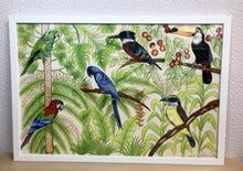 Carregar imagem no visualizador da galeria, Ilustração Pássaros, Quadro, Decoração, Reprodução do Original, Gravura, Giclée, Edição Limitada, Número de série, Fine Art, Aves, Pintura