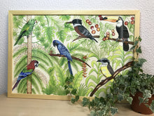 Carregar imagem no visualizador da galeria, Ilustração Pássaros, Quadro, Decoração, Reprodução do Original, Gravura, Giclée, Edição Limitada, Número de série, Fine Art, Aves, Pintura