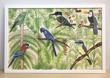 Carregar imagem no visualizador da galeria, Ilustração Pássaros, Quadro, Decoração, Reprodução do Original, Gravura, Giclée, Edição Limitada, Número de série, Painel, Aves, Pintura