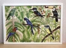 Carregar imagem no visualizador da galeria, Ilustração Pássaros, Quadro, Decoração, Reprodução do Original, Gravura, Giclée, Edição Limitada, Número de série, Painel, Aves, Pintura