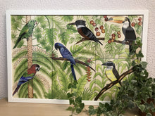 Carregar imagem no visualizador da galeria, Ilustração Pássaros, Quadro, Decoração, Reprodução do Original, Gravura, Giclée, Edição Limitada, Número de série, Painel, Aves, Pintura