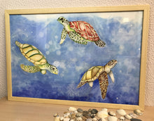 Carregar imagem no visualizador da galeria, Ilustração Tartarugas, Tartarugas marinhas, Quadro, Decoração, Reprodução do Original, Edição Limitada, Número de série, Fine Art, Decor