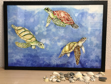 Carregar imagem no visualizador da galeria, Ilustração Tartarugas, Tartarugas marinhas, Quadro, Decoração, Reprodução do Original, Edição Limitada, Número de série, Fine Art, Decor