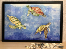 Carregar imagem no visualizador da galeria, Ilustração Tartarugas, Tartarugas marinhas, Quadro, Decoração, Reprodução do Original, Edição Limitada, Número de série, Fine Art, Decor