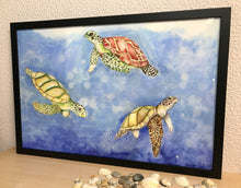 Carregar imagem no visualizador da galeria, Ilustração Tartarugas, Tartarugas marinhas, Quadro, Decoração, Reprodução do Original, Edição Limitada, Número de série, Fine Art, Decor