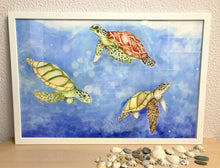Carregar imagem no visualizador da galeria, Ilustração Tartarugas, Tartarugas marinhas, Quadro, Decoração, Reprodução do Original, Edição Limitada, Número de série, Fine Art, Decor