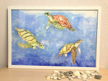 Carregar imagem no visualizador da galeria, Ilustração Tartarugas, Tartarugas marinhas, Quadro, Decoração, Reprodução do Original, Edição Limitada, Número de série, Fine Art, Decor