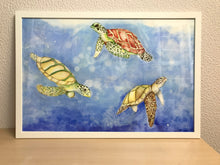 Carregar imagem no visualizador da galeria, Ilustração Tartarugas, Tartarugas marinhas, Quadro, Decoração, Reprodução do Original, Edição Limitada, Número de série, Fine Art, Decor