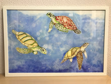 Carregar imagem no visualizador da galeria, Ilustração Tartarugas, Tartarugas marinhas, Quadro, Decoração, Reprodução do Original, Edição Limitada, Número de série, Fine Art, Decor