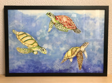 Carregar imagem no visualizador da galeria, Ilustração Tartarugas, Tartarugas marinhas, Quadro, Decoração, Reprodução do Original, Edição Limitada, Número de série, Fine Art, Decor