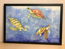 Carregar imagem no visualizador da galeria, Ilustração Tartarugas, Tartarugas marinhas, Quadro, Decoração, Reprodução do Original, Edição Limitada, Número de série, Fine Art, Decor