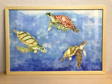 Carregar imagem no visualizador da galeria, Ilustração Tartarugas, Tartarugas marinhas, Quadro, Decoração, Reprodução do Original, Edição Limitada, Número de série, Fine Art, Decor