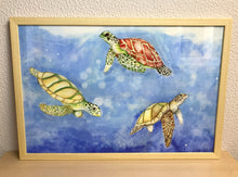 Carregar imagem no visualizador da galeria, Ilustração Tartarugas, Tartarugas marinhas, Quadro, Decoração, Reprodução do Original, Edição Limitada, Número de série, Fine Art, Decor