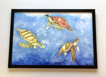 Carregar imagem no visualizador da galeria, Ilustração Tartarugas, Tartarugas marinhas, Quadro, Decoração, Reprodução do Original, Edição Limitada, Número de série, Fine Art, Decor