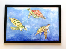 Carregar imagem no visualizador da galeria, Ilustração Tartarugas, Tartarugas marinhas, Quadro, Decoração, Reprodução do Original, Edição Limitada, Número de série, Fine Art, Decor