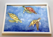 Carregar imagem no visualizador da galeria, Ilustração Tartarugas, Tartarugas marinhas, Quadro, Decoração, Reprodução do Original, Edição Limitada, Número de série, Fine Art, Decor