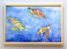 Carregar imagem no visualizador da galeria, Ilustração Tartarugas, Tartarugas marinhas, Quadro, Decoração, Reprodução do Original, Edição Limitada, Número de série, Fine Art, Decor