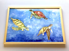 Carregar imagem no visualizador da galeria, Ilustração Tartarugas, Tartarugas marinhas, Quadro, Decoração, Reprodução do Original, Edição Limitada, Número de série, Fine Art, Decor