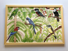 Carregar imagem no visualizador da galeria, Ilustração Pássaros, Quadro, Decoração, Reprodução do Original, Gravura, Giclée, Edição Limitada, Número de série, Fine Art, Aves, Pintura