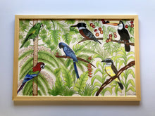 Carregar imagem no visualizador da galeria, Ilustração Pássaros, Quadro, Decoração, Reprodução do Original, Gravura, Giclée, Edição Limitada, Número de série, Fine Art, Aves, Pintura