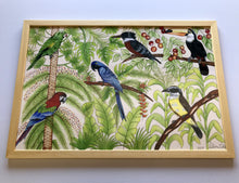 Carregar imagem no visualizador da galeria, Ilustração Pássaros, Quadro, Decoração, Reprodução do Original, Gravura, Giclée, Edição Limitada, Número de série, Fine Art, Aves, Pintura