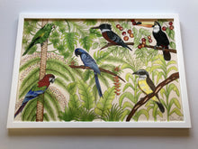 Carregar imagem no visualizador da galeria, Ilustração Pássaros, Quadro, Decoração, Reprodução do Original, Gravura, Giclée, Edição Limitada, Número de série, Fine Art, Aves, Pintura