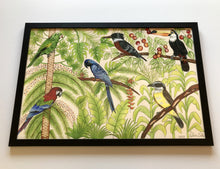 Carregar imagem no visualizador da galeria, Ilustração Pássaros, Quadro, Decoração, Reprodução do Original, Gravura, Giclée, Edição Limitada, Número de série, Fine Art, Aves, Pintura