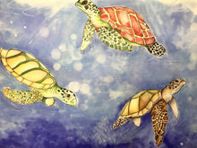 Carregar imagem no visualizador da galeria, Quadro com Pintura de Tartarugas, Tela impressa de Tartarugas, Quadro em Tela, Impressão em Tela, Arte, Natureza, Tartarugas Marinhas
