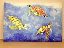 Carregar imagem no visualizador da galeria, Quadro com Pintura de Tartarugas, Tela impressa de Tartarugas, Quadro em Tela, Impressão em Tela, Arte, Natureza, Tartarugas Marinhas