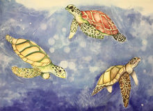 Carregar imagem no visualizador da galeria, Quadro com Pintura de Tartarugas, Tela impressa de Tartarugas, Quadro em Tela, Impressão em Tela, Arte, Natureza, Tartarugas Marinhas