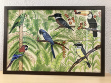 Carregar imagem no visualizador da galeria, Ilustração Pássaros, Quadro, Decoração, Reprodução do Original, Gravura, Giclée, Edição Limitada, Número de série, Painel, Aves, Pintura