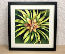 Carregar imagem no visualizador da galeria, Ilustração Bromélia, Planta Tropical, Floresta, Quadro, Decoração, Reprodução Original, Edição Limitada, Número de série, Fineart, Giclée