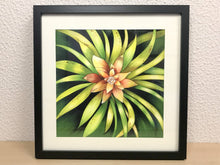 Carregar imagem no visualizador da galeria, Ilustração Bromélia, Planta Tropical, Floresta, Quadro, Decoração, Reprodução Original, Edição Limitada, Número de série, Fineart, Giclée