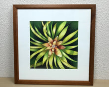 Carregar imagem no visualizador da galeria, Ilustração Bromélia, Planta Tropical, Floresta, Quadro, Decoração, Reprodução Original, Edição Limitada, Número de série, Fineart, Giclée