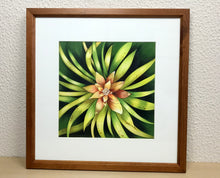 Carregar imagem no visualizador da galeria, Ilustração Bromélia, Planta Tropical, Floresta, Quadro, Decoração, Reprodução Original, Edição Limitada, Número de série, Fineart, Giclée