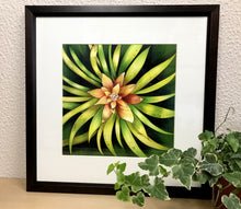 Carregar imagem no visualizador da galeria, Ilustração Bromélia, Planta Tropical, Floresta, Quadro, Decoração, Reprodução Original, Edição Limitada, Número de série, Fineart, Giclée