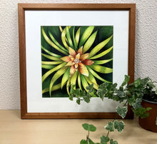 Carregar imagem no visualizador da galeria, Ilustração Bromélia, Planta Tropical, Floresta, Quadro, Decoração, Reprodução Original, Edição Limitada, Número de série, Fineart, Giclée